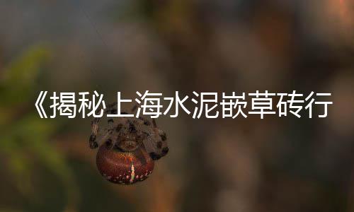 阜阳梅花型水泥垫块价格、淄博水泥荷兰砖规格价格、湖北卧式水泥仓价格图片、惠州425水泥价格行情