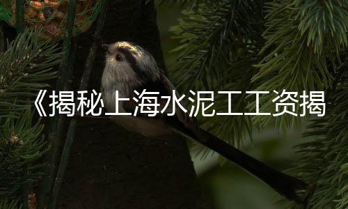 阳泉灰石子批发电话、深圳批发鸡血红石子、德州纯白色石子批发、石子青服装批发店