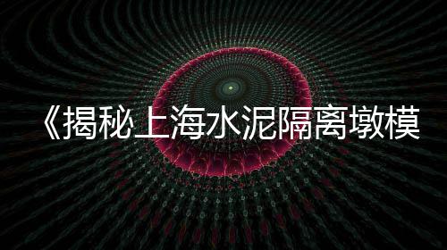 上海浦东碎石子厂家、上海港进口石子批发市场、上海水泥地露石子哪家强、上海绿色石子仓值多少钱