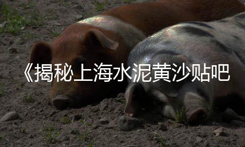 上海黄沙水泥钢材价格、上海运水泥黄沙、上海配送黄沙红砖、上海黄沙进口总量