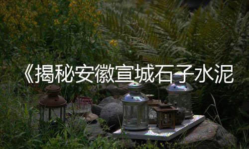 上海黄沙石子山东、上海金山区黄沙石子、上海浦东石子场房价、上海杨浦区再生石子厂家