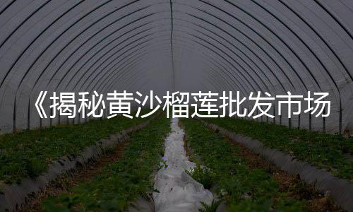 安阳水泥板围墙批发市场、枣阳水泥井盖批发、焦作水泥条批发、泸州水泥井盖批发