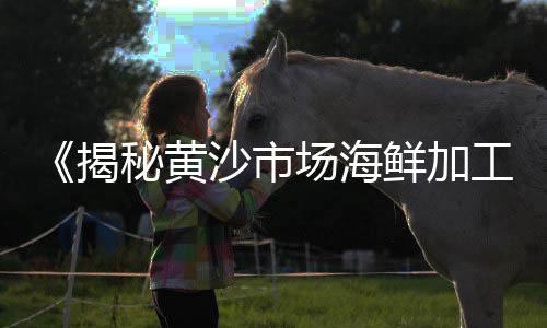 河南周口石子价格、小区石子价格、透水石子价格、汕头石子价格