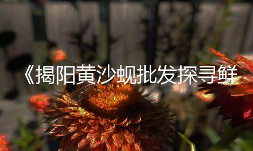 黄沙批发市场疫情防控、杭州黄沙水泥批发中心、福建黄沙批发哪里有、如东供应黄沙批发销售