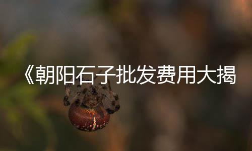 蒙阴县石子厂家批发市场在哪、广饶低价石子批发市场、淄博市卖石子的市场、郑州再生石子市场价格