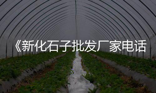 黄沙市场死鱼价格、广州黄沙市场批发手机电话、黄沙市场工作时间表最新、广州黄沙市场冰鲜多宝鱼