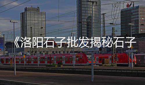 龙文区零售水泥门店址电话号码、贵州水泥地坪研磨机零售、临沂硅酸盐水泥批发零售、安阳县瓦店乡零售水泥
