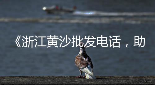 上海市黄沙石子水泥批发、上海路面石子扫路机价格、上海干挂石子批发厂家电话、上海哪里有高钙石子买的