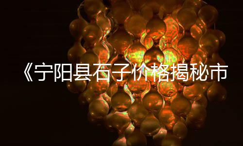 安徽矿山石子价格、阜阳收石子价格、新余青石子价格、颗石子机子价格