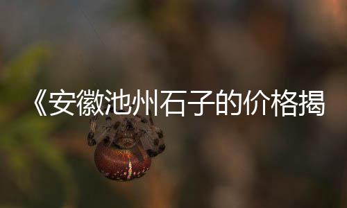 尖峰水泥价格、水泥路面施工价格、水泥泡沫隔墙板价格、上海水泥管价格
