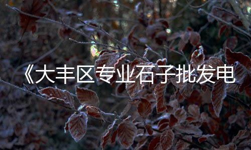 中山门石子零售、芜湖批发零售石子店地址、石子批发零售利润率、东丽周边石子批发零售