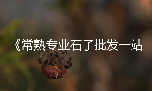 水泥砂浆建材市场、福建水泥市场部、海南市场水泥砖、水泥市场分析和现状