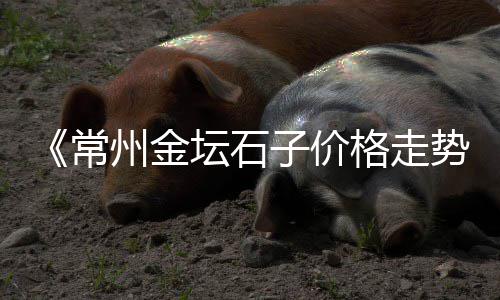2020建筑石子价格、泰州地区各种石子价格、下半年石子价格、嘉兴嘉善最新石子价格