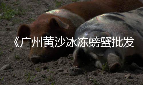 杭州建筑青石子价格多少、山东菏泽石子煤炭价格、陕西榆林沙子石子价格、广饶石子出售价格