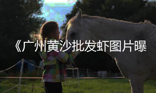 西城企口水泥管批发、白城市水泥空心砖批发商、六盘水发泡水泥板批发、秦淮水泥砂石批发价格