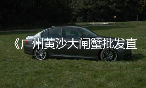 黄浦区水泥批发厂家地址、高雄水泥经销批发、孝感水泥发泡批发、响水黄沙水泥批发