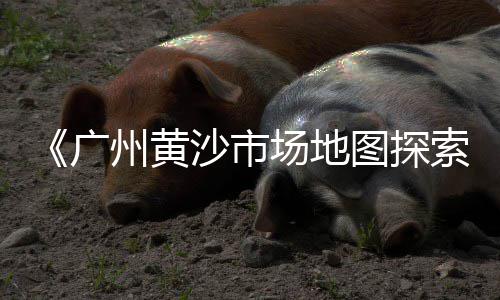 津塘路石子零售商、宁波石子批发零售地址、北仓镇石子零售、蓟州区石子零售