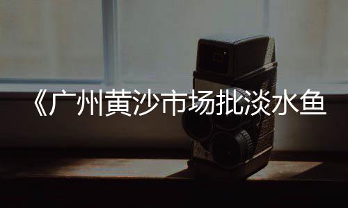 双街镇石子零售超市地址、石子陶粒水泥批发零售、宁波石子批发零售电话、绍兴石子零售配送中心