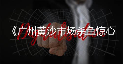 宝丰大地水泥批发、建邺水泥批发公司、济南水泥护栏厂家批发、漳州市水泥批发