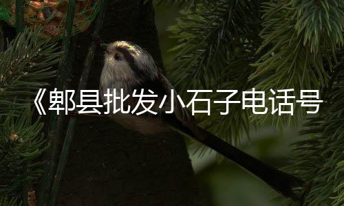 广安小燕水泥批发、中牟水泥批发、吴川水泥批发、扶沟水泥批发