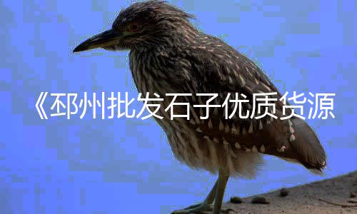 上海码头卸石子视频、上海黄沙水泥石子直销、上海做路垫石子的公司、上海移动石子破碎机尺寸