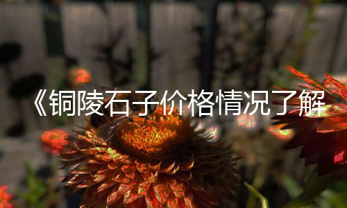 上海回笼石子厂家电话号码、上海的一种像小石子的茶、上海市嘉定区石子路邮编、上海建材石子石子价格