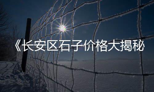 濮阳石子零售地址查询、枣庄零售沙子石子水泥、中北镇石子批发零售、天津彩色石子批发零售