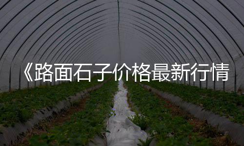 上海金山区石子、上海到河南石子运输、上海再生石子找谁买、上海透水混凝土面层石子