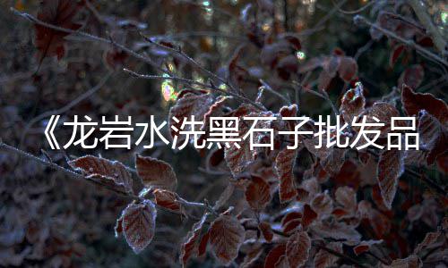 南昌石子批发门店电话、宝丰石子批发市场在哪、咸阳沙子石子批发市场、新乡野菜石子批发电话