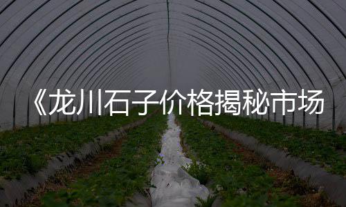 磐安水泥仿木桩价格、漓江水泥价格表、苏州进口水泥库价格、江苏微水泥艺术漆价格
