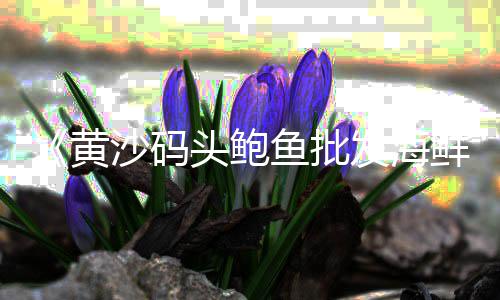 黄沙淡水蓝龙虾批发、批发砖块黄沙水泥多少钱、黄沙白 海鲜批发市场、睢宁县哪里批发黄沙