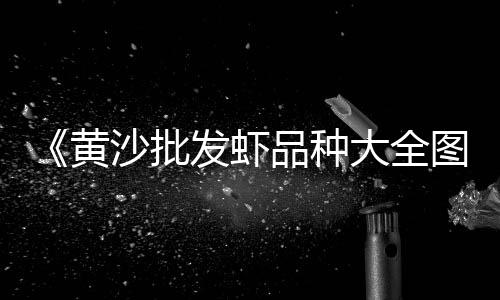 上海附近哪里有石子批发、上海青田石子、上海铁路道砟石子、上海采购高标石子价格