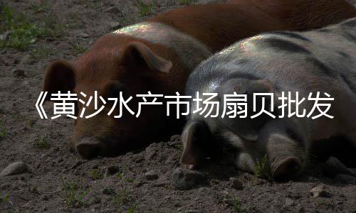 上海建材黄沙订购、上海建筑黄沙价格表、上海黄沙水泥哪里有卖、上海批发黄沙怎么卖