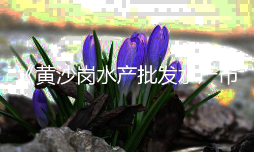 石子市场市场风险、石子滩集贸大市场、南昌石子批发市场、西站附近石子建材市场