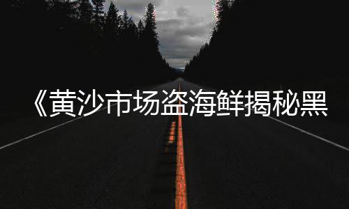 上海山料黄沙价格、上海市工地使用黄沙、上海嘉定娄塘买黄沙、上海的黄沙水泥来自哪里