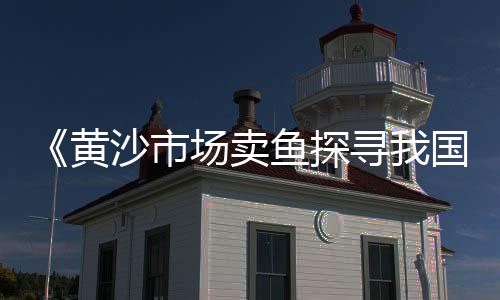 安徽石子市场需求情况、印尼石子市场现状怎么样、外墙石子批发市场在哪、扬州沙子石子批发市场