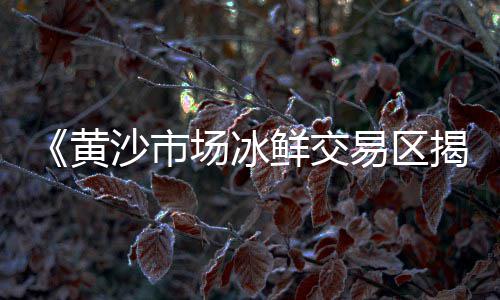 黄沙沙虫批发、黄沙文具批发市场得力、黄沙市场鳗鱼批发在哪里、广州黄沙石材批发市场