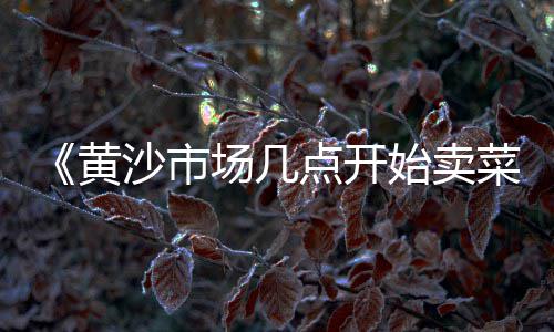 溪流石子批发、温县批发石子在哪里、小石子馍批发厂家、山东灰石子厂家批发