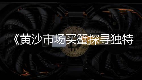张家口石子零售、批发零售沙子石子多少钱、灰石子批发零售店电话、淄博石子零售店地址电话