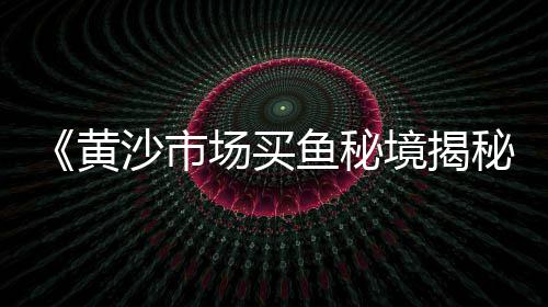 小蓉批发零售沙子水泥石子白灰、石子零售多少钱一袋、灰石子批发零售店电话地址、金湖县批发零售沙子石子水泥