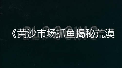 上海水泥匡鸿简历、上海水泥毯批发、上海水泥埋尸、上海水泥房骗局