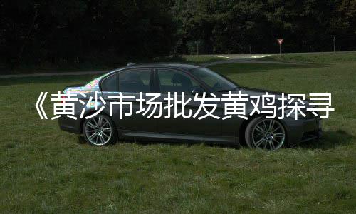越秀黄沙零售多少钱一吨、武汉市袋装黄沙零售、黄沙水泥零售怎么样、常熟黄沙水泥零售店