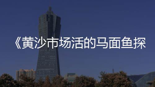 德州彩色石子批发零售店、沙子石子零售挣钱吗、阜南石子沙子零售电话、厦门石子批发零售地址