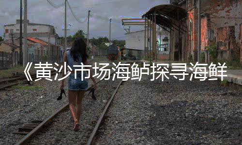 衡水彩石子批发市场地址、陆丰石子批发市场在哪里、石材城小石子批发市场地址、蒲城石子饼零售批发市场