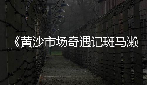 黄沙零售小龙虾、来安水泥黄沙零售、肇庆蛋黄沙零售、专业黄沙水泥零售
