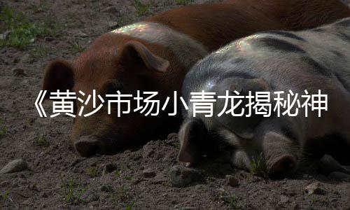 高邑石子价格走势、武义建材石子价格、长沙的石子价格、抖音石子价格