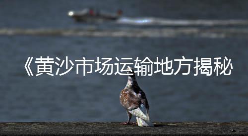 濮阳石子批发厂家、郫县石子批发市场在哪、水磨石石子批发电话、枣庄灰石子批发厂家电话