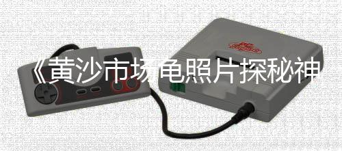 武汉水磨石子批发市场、上海再生红石子批发市场、石家庄石子石料批发市场、曹县白石子批发市场电话
