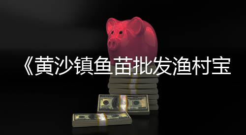 洛阳石子零售地址电话、沙子水泥石子零售、淄博石子零售店地址、睢县大沙石子零售电话