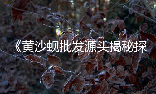 石子岭旧货市场、河津石子批发市场地址、园林石子批发市场地址、成都深灰石子批发市场